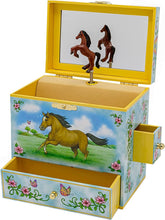 Wild and Free Musical Jewelry Box B1045 - Enchantmints